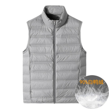 Light Gray
